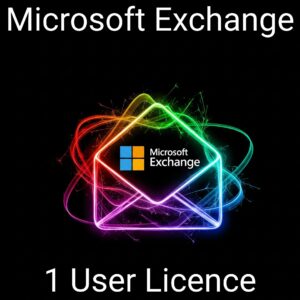 Microsoft Exchange 2019 - 1 User Licence